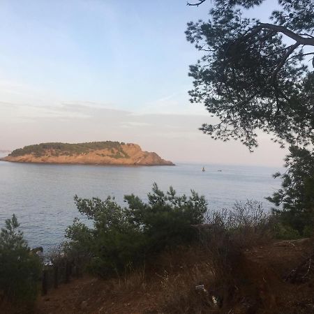 Fanny Wifi Climatise Tout A Pieds 4 Personnes La Ciotat Bagian luar foto